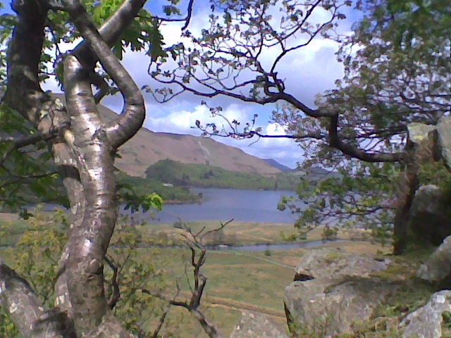  Dónde se puede caminar 